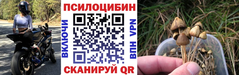 цены наркотик  Касимов  Галлюциногенные грибы мухоморы 
