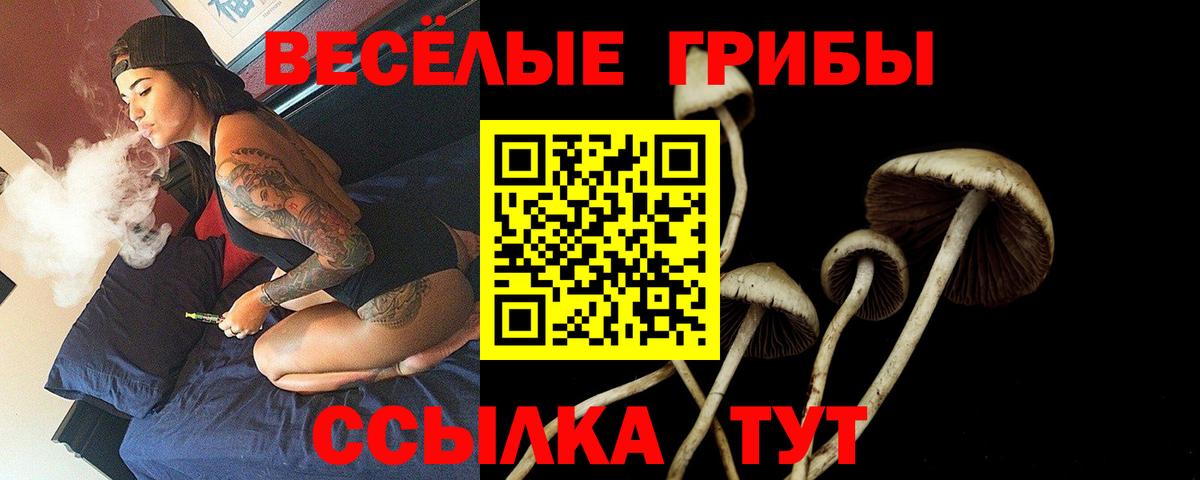 Касимов  Галлюциногенные грибы прущие грибы  Вход с VPN 